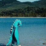 How is Nessie