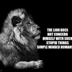 the lion . . | THE LION DOES NOT CONCERN HIMSELF WITH SUCH STUPID THINGS SIMPLE MINDED HUMANS DO | image tagged in the lion,memes | made w/ Imgflip meme maker