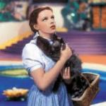 Dorothy80's