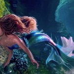 black ariel close up