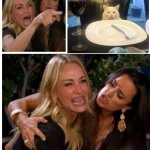 Woman yelling at cat 3 panels