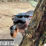 The dmn cool hippo | image tagged in moo deng peek | made w/ Imgflip meme maker