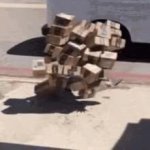 Package GIF Template