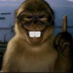 nerd monkey meme