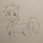 Pump but he's a pony template