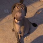 Sad donkey
