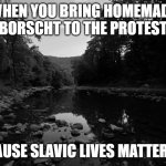 Whitaker Falls, West Virginia. | WHEN YOU BRING HOMEMADE BORSCHT TO THE PROTEST; BECAUSE SLAVIC LIVES MATTER TOO | image tagged in whitaker falls west virginia,slavic lives matter,black lives matter | made w/ Imgflip meme maker