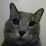 yo got games on yo phone? meme