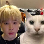 jimin silly my honest reaction cat what