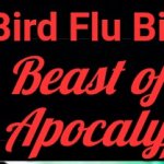 Bird Flu Bill header