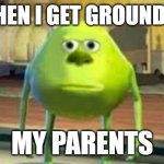 mike wazowski | ME WHEN I GET GROUNDED BY; MY PARENTS | image tagged in mike wazowski | made w/ Imgflip meme maker