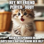 Please respond in comments, thanks | HEY, MY FRIEND PLAYER_9UUY; HASN'T RESPONDED IN DAYS. DOES ANYONE KNOW HER IRL? | image tagged in kitten jaw drop,respond in comments | made w/ Imgflip meme maker