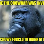 Deep Thoughts | BEFORE THE CROWBAR WAS INVENTED; WE'RE CROWS FORCED TO DRINK AT HOME? | image tagged in deep thoughts | made w/ Imgflip meme maker