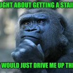 Deep Thoughts | I THOUGHT ABOUT GETTING A STAIR LIFT; BUT IT WOULD JUST DRIVE ME UP THE WALL | image tagged in deep thoughts | made w/ Imgflip meme maker