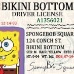 Spongebob Id