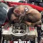 monkey with a wrench | BUT, WHAT DO I KNOW; IM JUST A MONKEY WITH A WRENCH! | image tagged in monkey mechanic | made w/ Imgflip meme maker