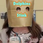 Miami Dolphins