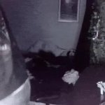 oh yeah shake it GIF Template