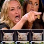 Woman screaming at 3 cats