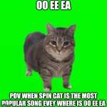 spinning cat | OO EE EA; POV WHEN SPIN CAT IS THE MOST POPULAR SONG EVEY WHERE IS OO EE EA | image tagged in spinning cat | made w/ Imgflip meme maker