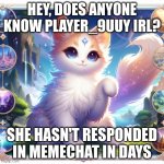 pls respond | HEY, DOES ANYONE KNOW PLAYER_9UUY IRL? SHE HASN'T RESPONDED IN MEMECHAT IN DAYS | image tagged in cute cat in genshin impact | made w/ Imgflip meme maker