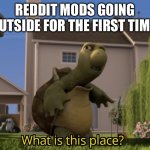 What is this place | REDDIT MODS GOING OUTSIDE FOR THE FIRST TIME: | image tagged in what is this place | made w/ Imgflip meme maker