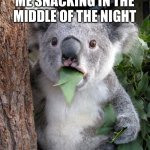 Surprised Koala | POV: YOU CAUGHT ME SNACKING IN THE MIDDLE OF THE NIGHT | image tagged in memes,surprised koala | made w/ Imgflip meme maker