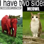 I Have 2 Sides | MEOWL; STRAWBERRY ELEPHANT | image tagged in i have two sides | made w/ Imgflip meme maker