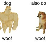 500 more points until 10,000 points! | dog; also dog; woof; woof | image tagged in memes,buff doge vs cheems | made w/ Imgflip meme maker