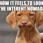 Dissapointed puppy | HOW IT FEELS TO LOOK AT THE INTERENT NOWADAYS | image tagged in dissapointed puppy,internet | made w/ Imgflip meme maker