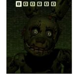 what the fuck please