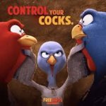 Control your Cocks Free birds