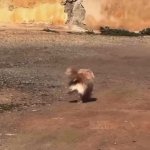 happy dog GIF Template