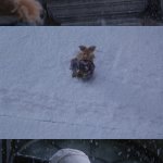 You There Boy, What Day Is It?