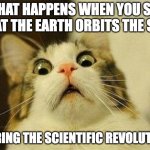 In the Scientific Discussion | WHAT HAPPENS WHEN YOU SAY THAT THE EARTH ORBITS THE SUN; DURING THE SCIENTIFIC REVOLUTION | image tagged in memes,scared cat | made w/ Imgflip meme maker