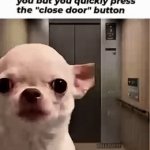 hate socializing | image tagged in gifs,funny memes,funny,dog | made w/ Imgflip video-to-gif maker