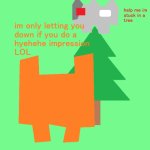 plantt funguss christmas temp meme