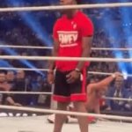 SpeedSpear GIF Template