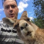 kangaroo selfie