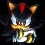 Shadow the hedgehog