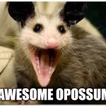 opossum | AWESOME OPOSSUM | image tagged in opossum | made w/ Imgflip meme maker