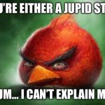 Realistic Red Angry Birds | YOU’RE EITHER A JUPID STEW; OR UM… I CAN’T EXPLAIN MORE | image tagged in realistic red angry birds | made w/ Imgflip meme maker