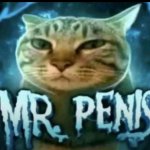 Mr. Penis template