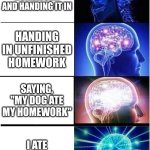 Expanding Brain | DOING YOUR HOMEWORK AND HANDING IT IN; HANDING IN UNFINISHED HOMEWORK; SAYING, "MY DOG ATE MY HOMEWORK"; I ATE MY HOMEWORK | image tagged in memes,expanding brain | made w/ Imgflip meme maker