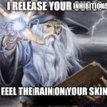 I release your inhibitions wizard meme