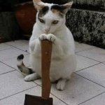 Cat with axe template