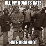 All My Homies Hate | ALL MY HOMIES HATE; HATE BRAINROT | image tagged in all my homies hate | made w/ Imgflip meme maker