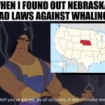 By all accounts it doesn't make sense | WHEN I FOUND OUT NEBRASKA HAD LAWS AGAINST WHALING | image tagged in kronk - doesn't make sense captioned | made w/ Imgflip meme maker