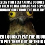 Crazy eyed bird | EVERY TIME I EAT ANIMAL COOKIES I LINE THEM UP IN A PARADE AND SEPARATE THE 'INJURED' ONES FROM THE 'HEALTHY' ONES THEN I QUICKLY EAT THE IN | image tagged in crazy eyed bird | made w/ Imgflip meme maker