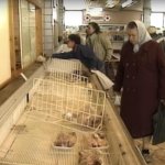 Soviet-Era Grocery Store